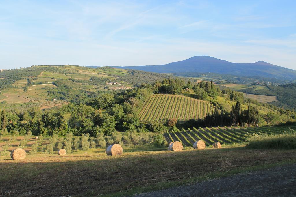 Agriturismo Il Poderuccio Castiglione dʼOrcia Екстериор снимка